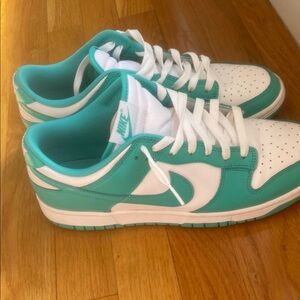 Nike Teal and White Sneakers